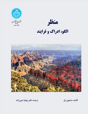 منظر - الگو، ادراک و فرآیند