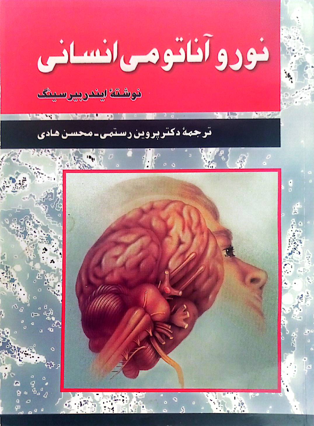 نوروآناتومی انسانی