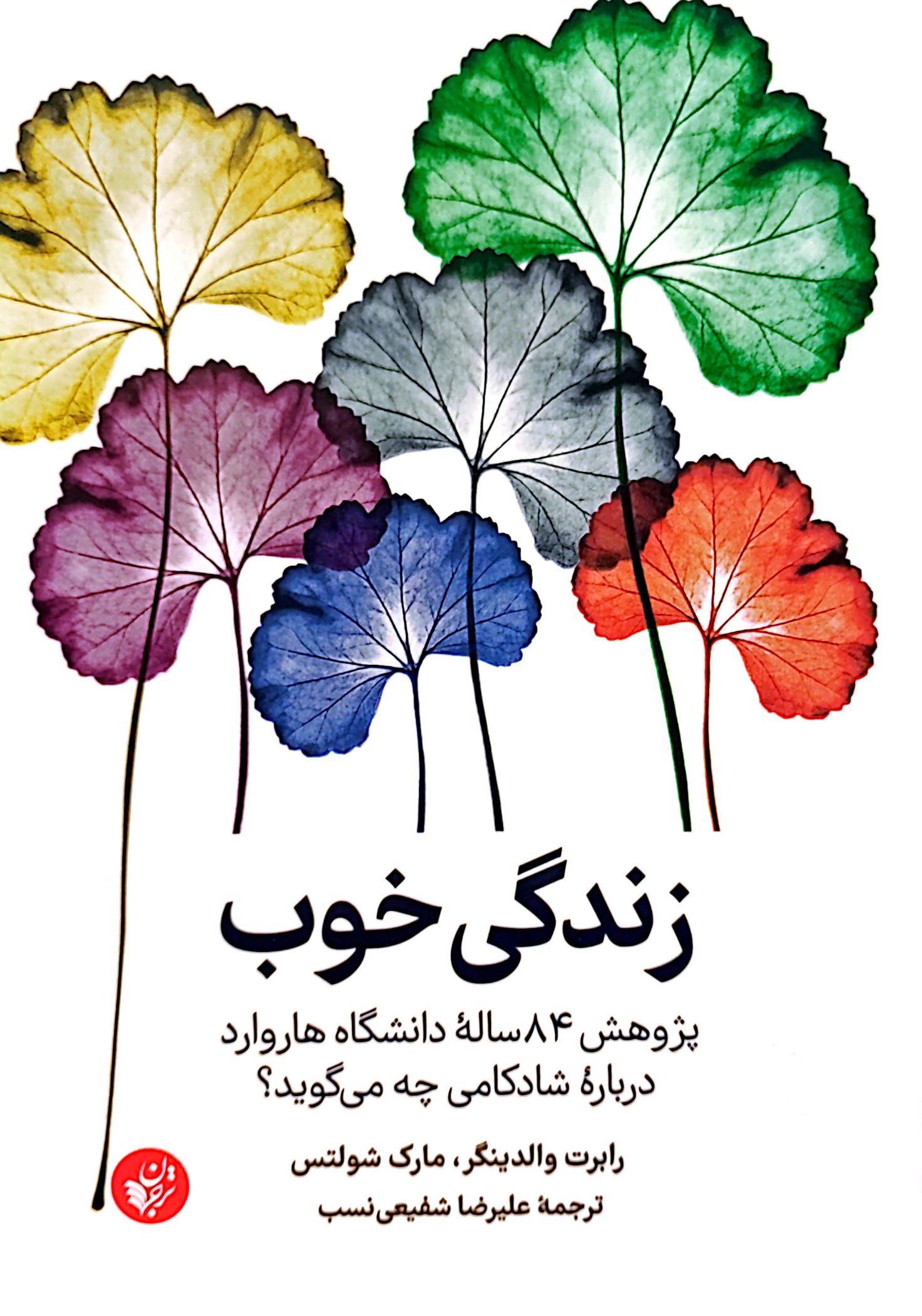 زندگی خوب: پژوهش 84 ساله دانشگاه هاروارد درباره شادکامی چه میگوید؟