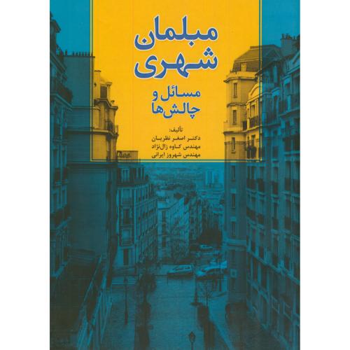 مبلمان شهری: مسائل و چالش‌ها