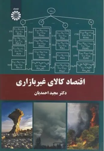 اقتصاد کالای غیربازاری