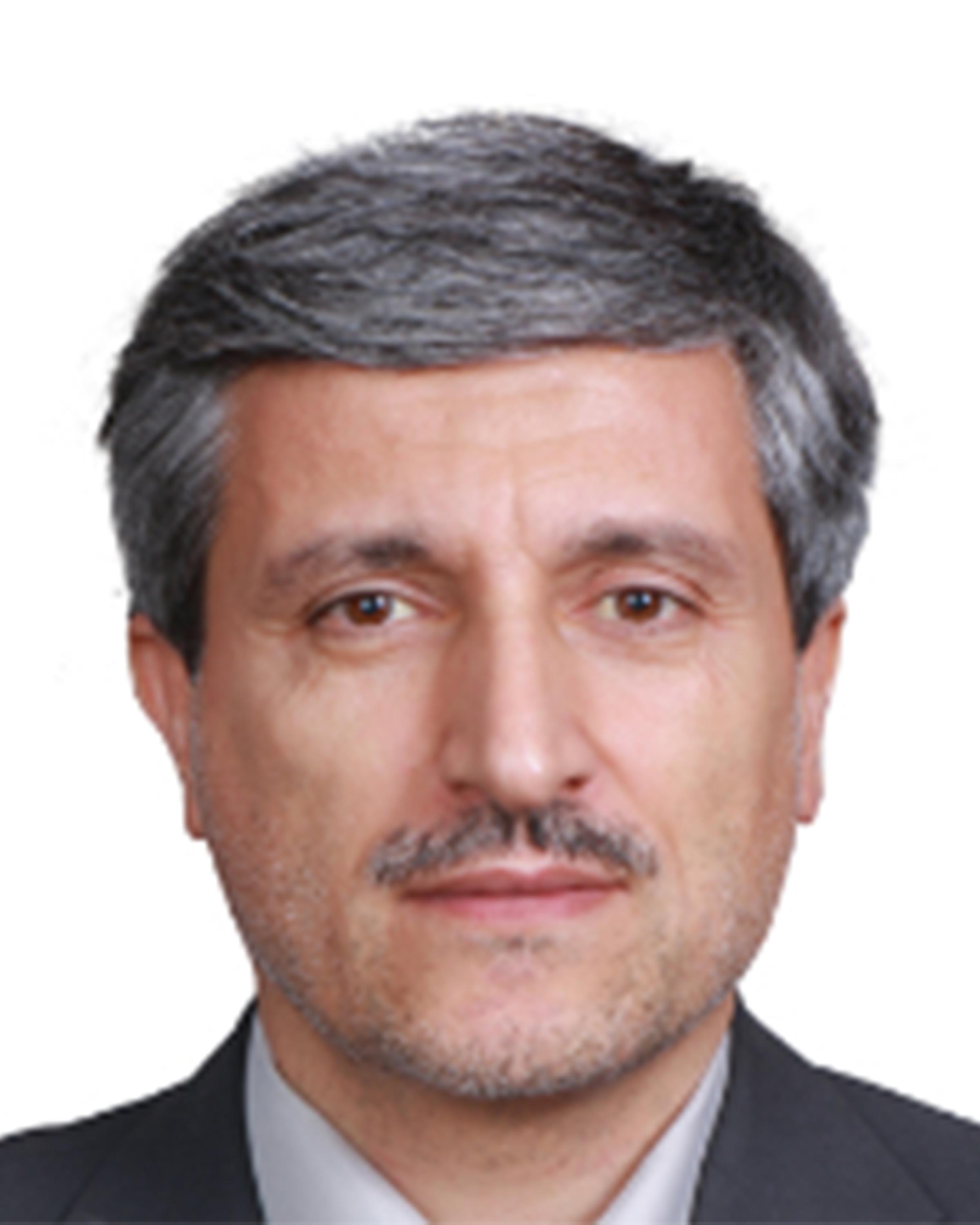 محمدتقی پیربابایی
